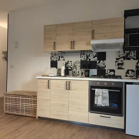 Apartment Casa Felix *